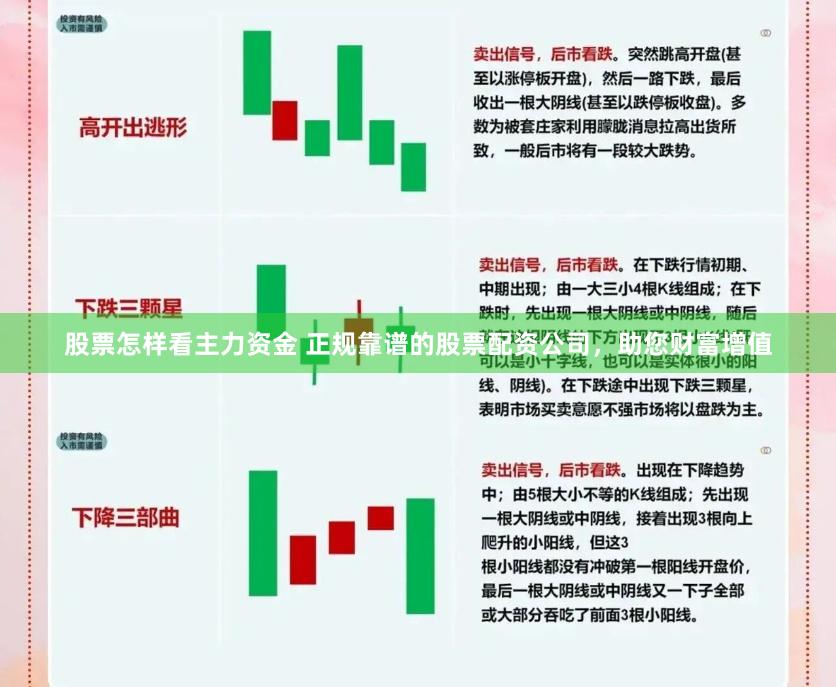 股票怎样看主力资金 正规靠谱的股票配资公司，助您财富增值