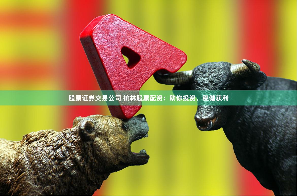 股票证券交易公司 榆林股票配资:助你投资,稳健获利