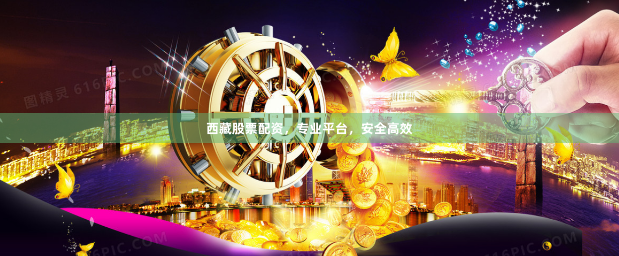 西藏股票配资，专业平台，安全高效