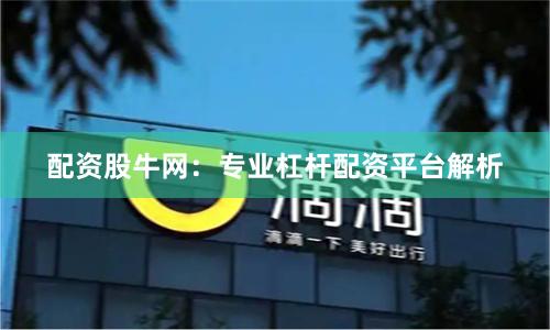 配资股牛网：专业杠杆配资平台解析